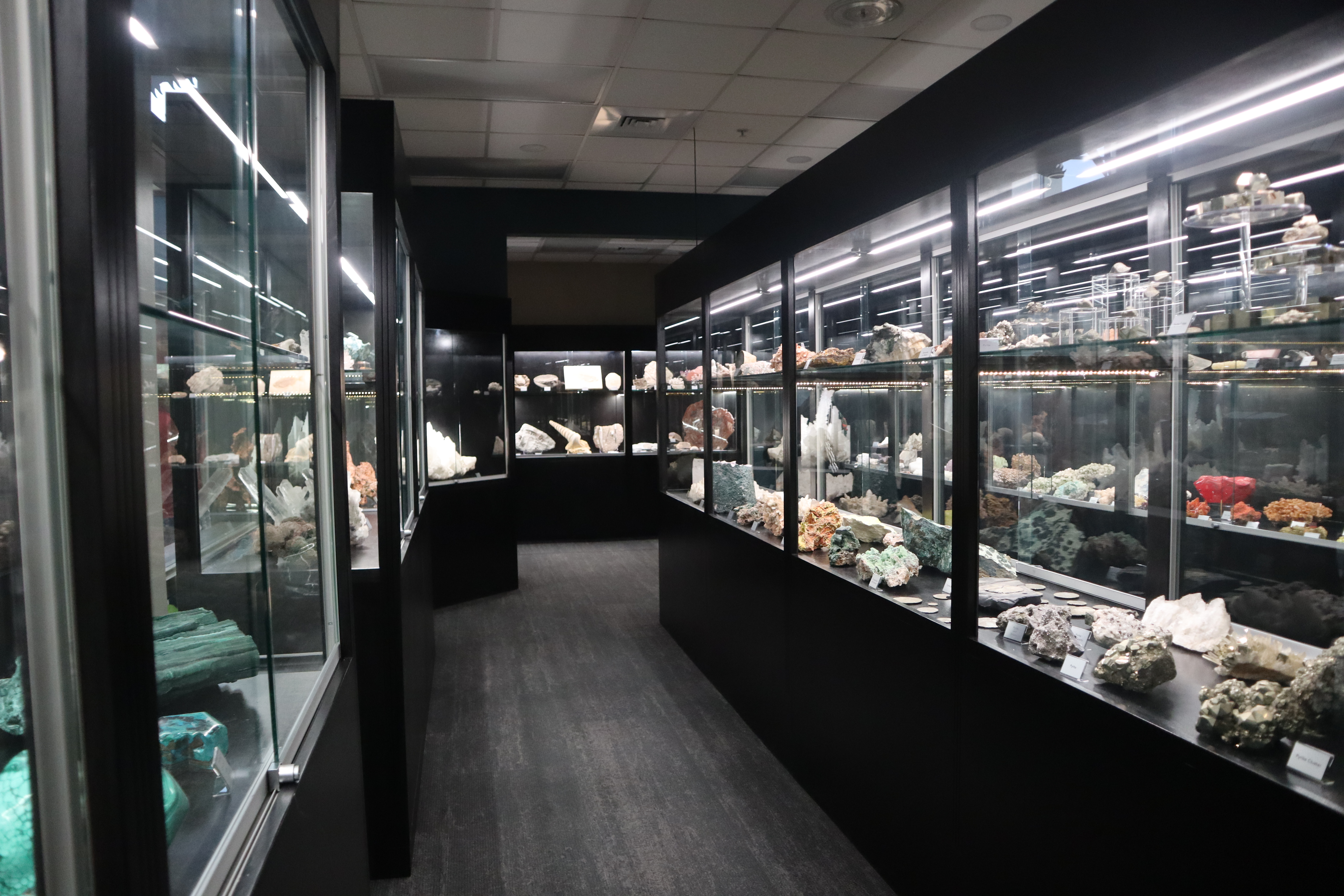 The gem and mineral exhibit